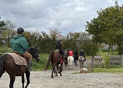 Illustration Bonne année 2026